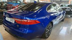 جاگوار XF